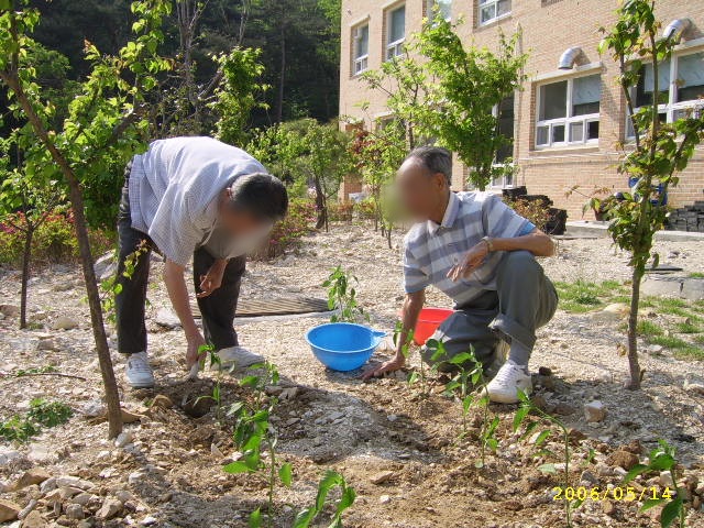고추모종심는날_005 (2).jpg