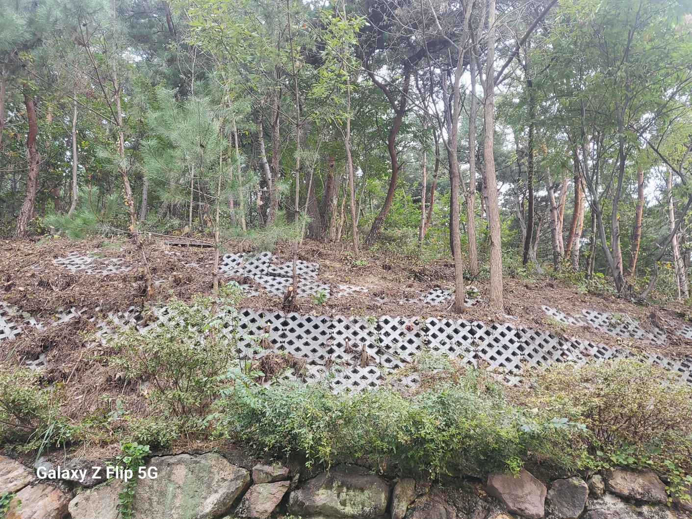 KakaoTalk_20241106_105314319.jpg
